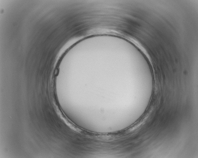 X0000060581053200512011728