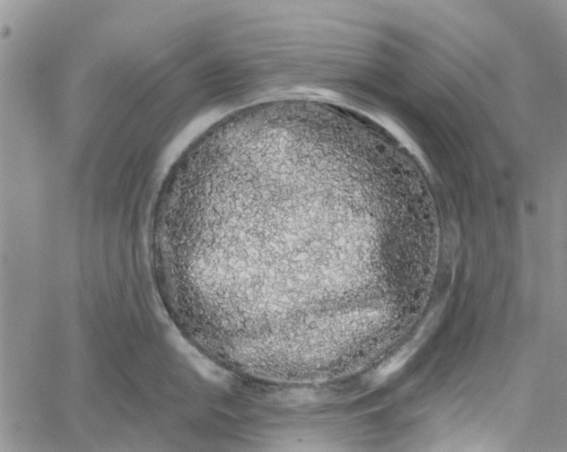 X0000060581054200512011728