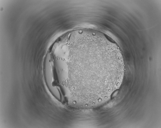 X0000060581055200512011728