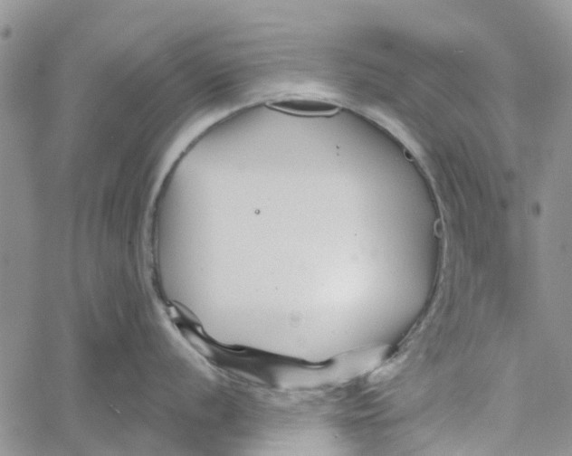 X0000060581056200512011728