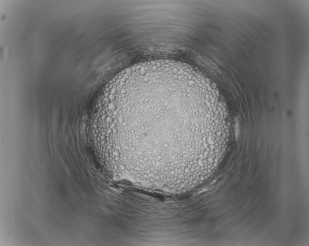 X0000060581059200512011727