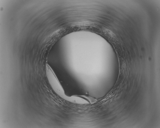 X0000060581062200512011727