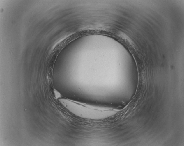 X0000060581064200512011727