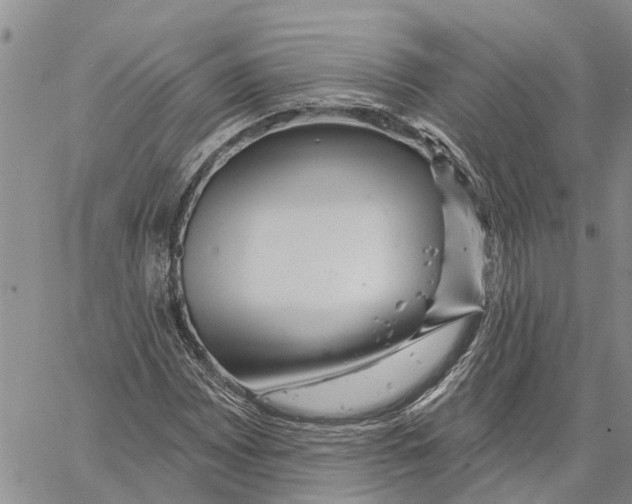 X0000060581065200512011727