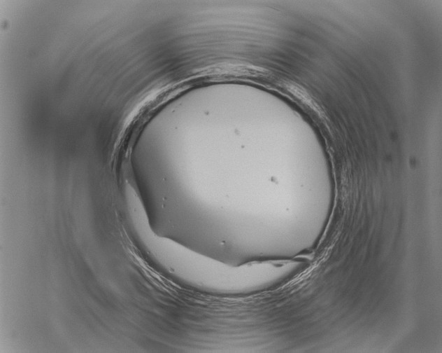 X0000060581067200512011727