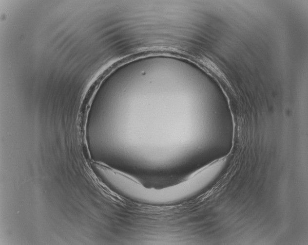 X0000060581068200512011727