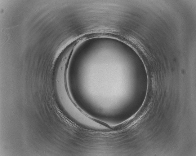 X0000060581069200512011727