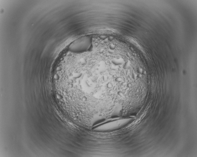 X0000060581071200512011727