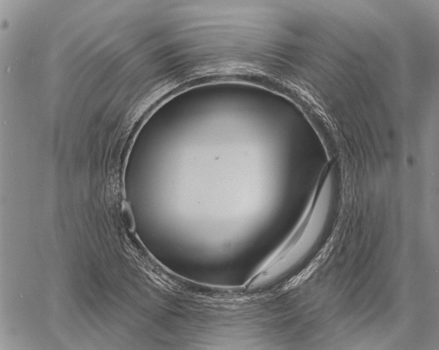 X0000060581073200512011727