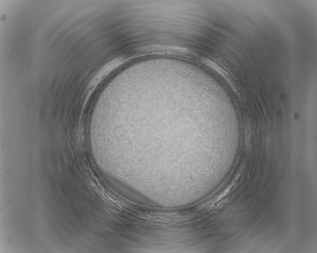 X0000060581074200512011727