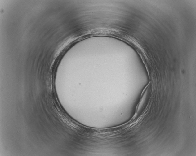 X0000060581075200512011727