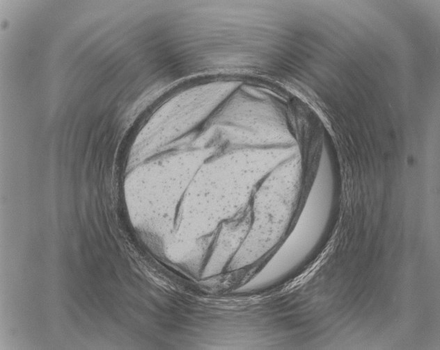 X0000060581077200512011727