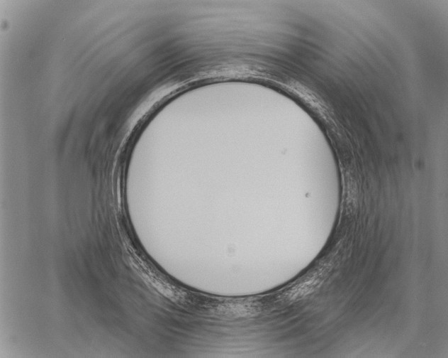 X0000060581078200512011727