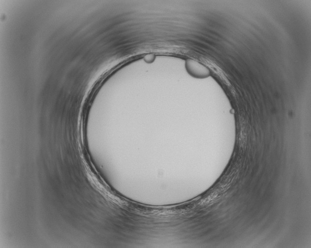 X0000060581080200512011727