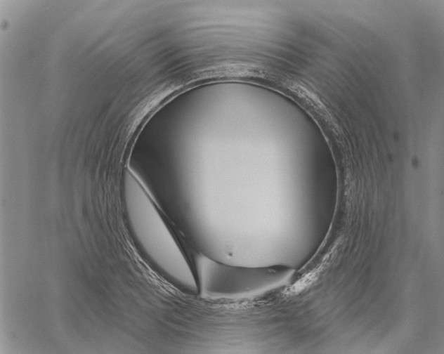 X0000060581081200512011727