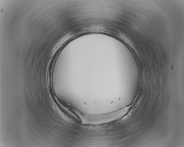 X0000060581082200512011727