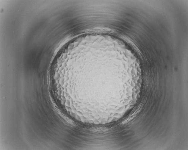 X0000060581083200512011727