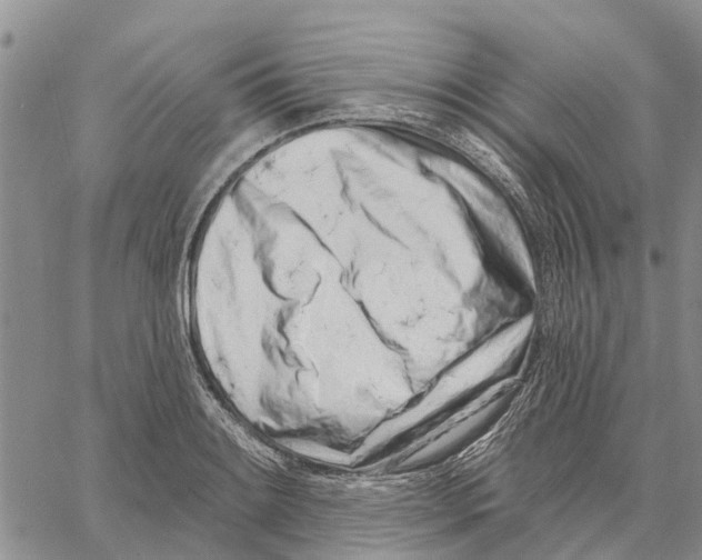 X0000060581084200512011727