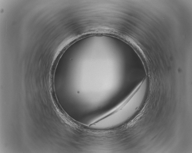 X0000060581085200512011727