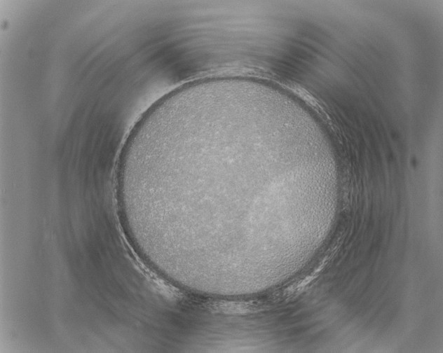 X0000060581086200512011727