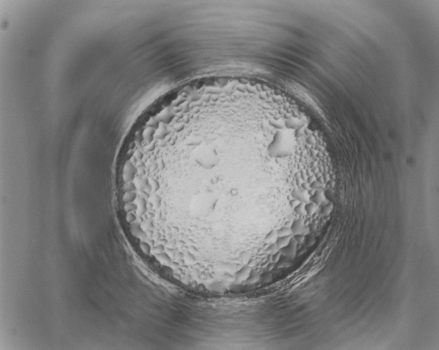 X0000060581087200512011727