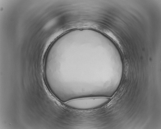 X0000060581088200512011727