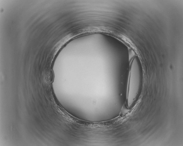 X0000060581089200512011727