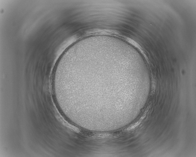 X0000060581090200512011727