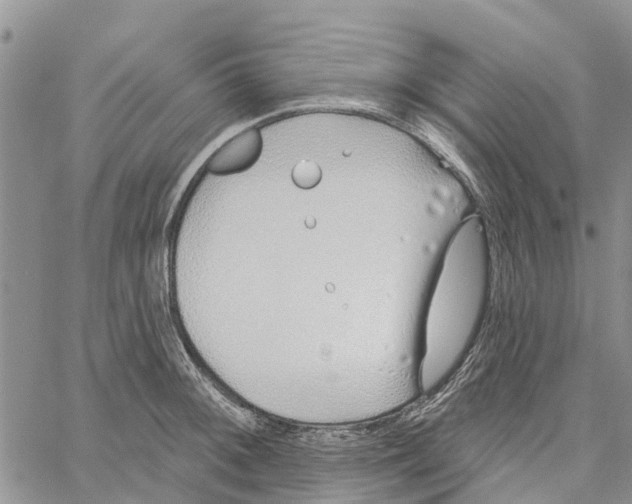 X0000060581092200512011727