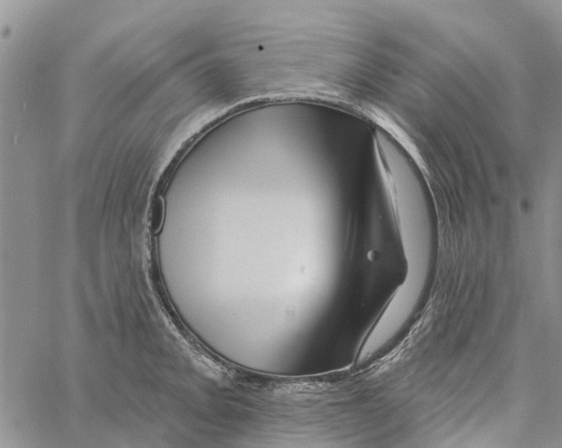 X0000060581093200512011727