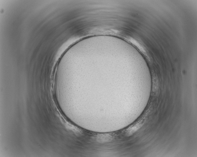 X0000060581094200512011727