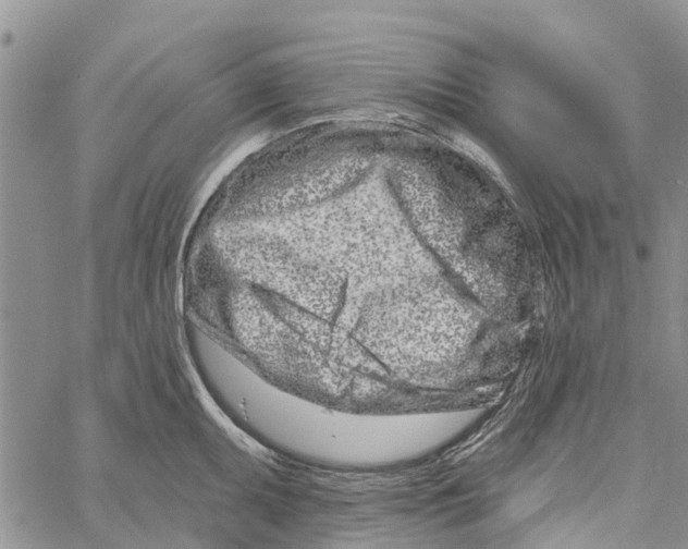 X0000060581095200512011726