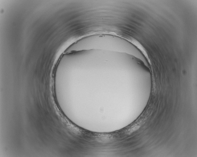 X0000060581096200512011726