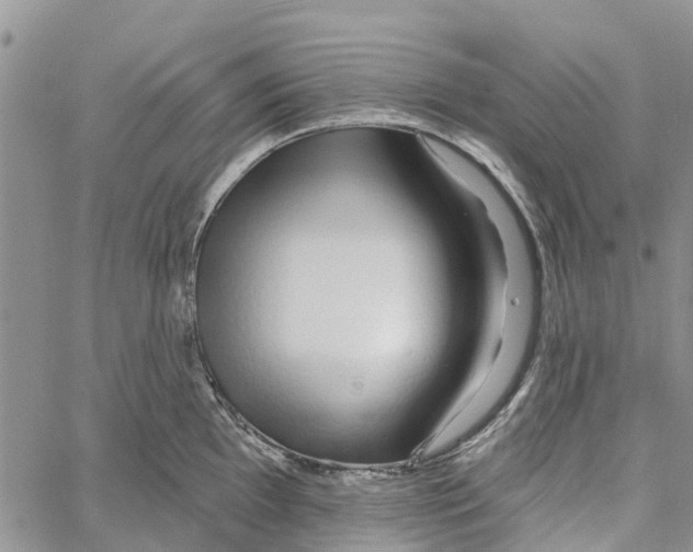 X0000060581097200512011726