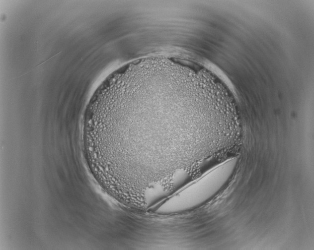 X0000060581099200512011726