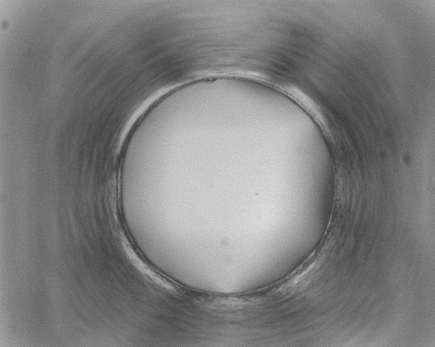 X0000060581100200512011726