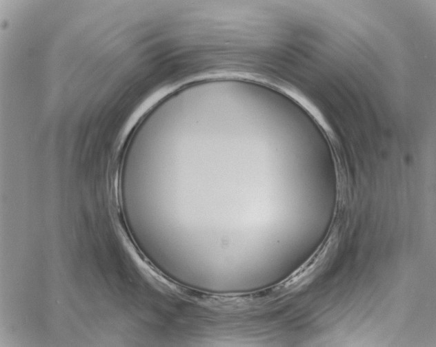 X0000060581101200512011726