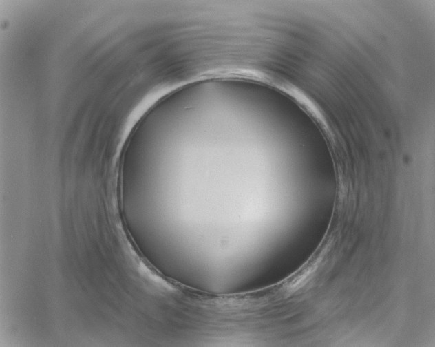 X0000060581102200512011726