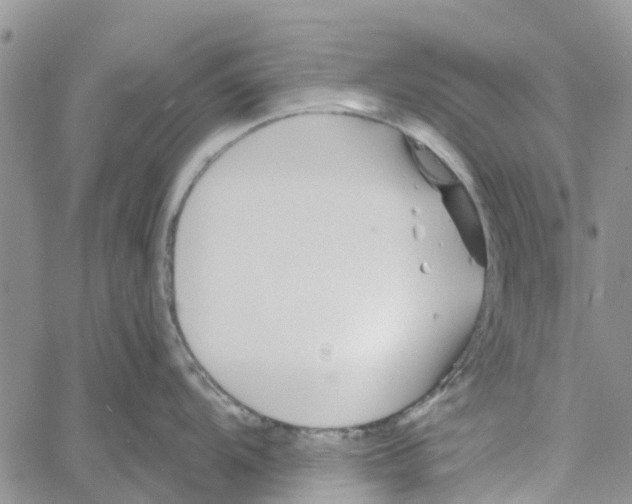 X0000060581104200512011726