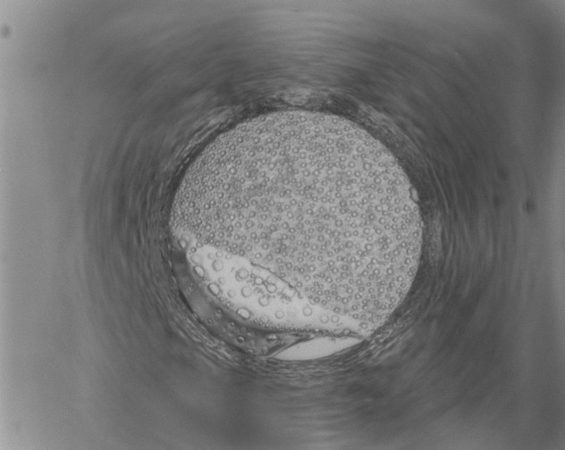 X0000060581105200512011726