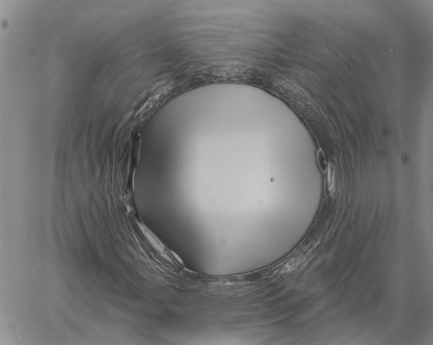 X0000060581107200512011726