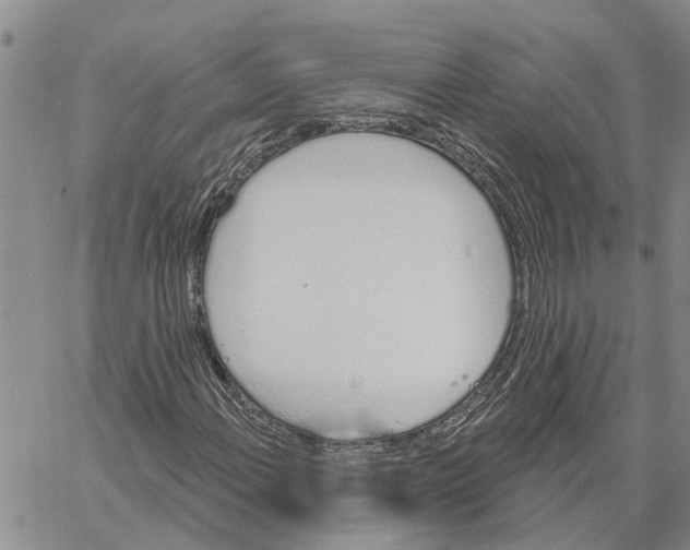 X0000060581108200512011726