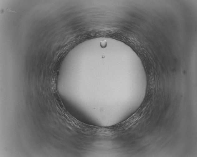 X0000060581109200512011726