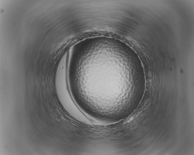 X0000060581110200512011726