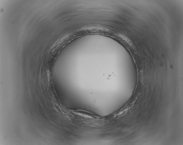 X0000060581111200512011726