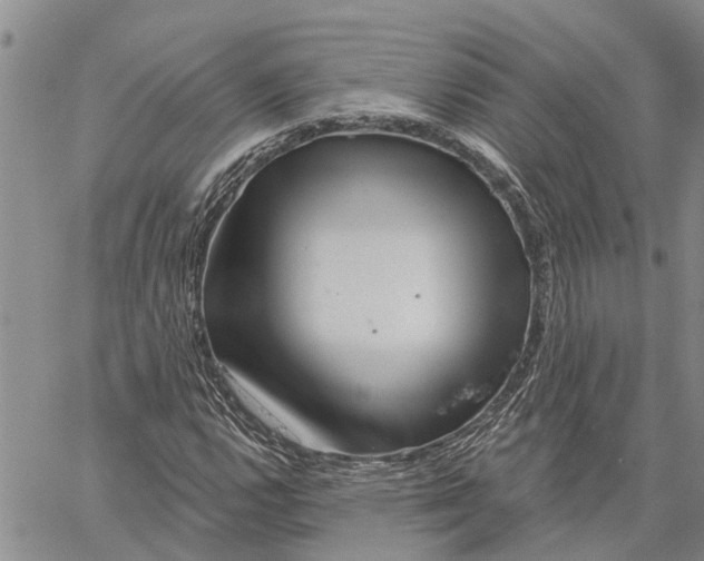 X0000060581112200512011726