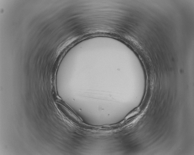 X0000060581113200512011726