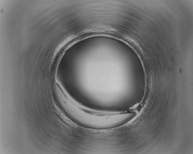 X0000060581114200512011726