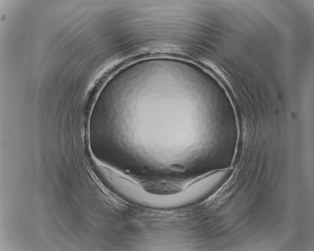 X0000060581115200512011726