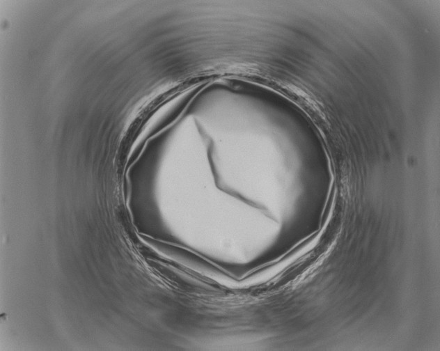 X0000060581117200512011726